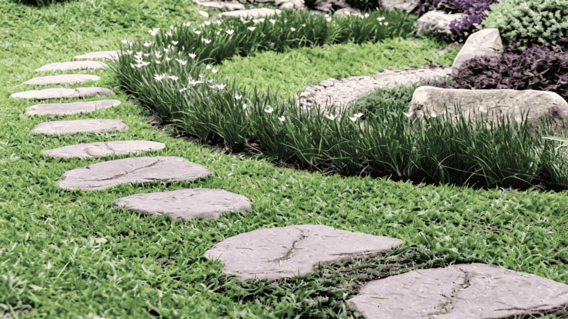 Flat stepping stones placed across a green lawn with plants surrounding the garden pathway.