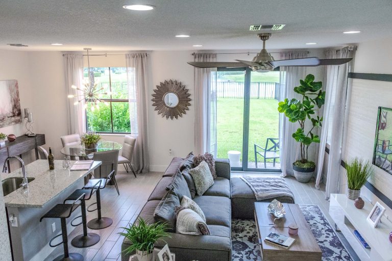 Large Ceiling Fan