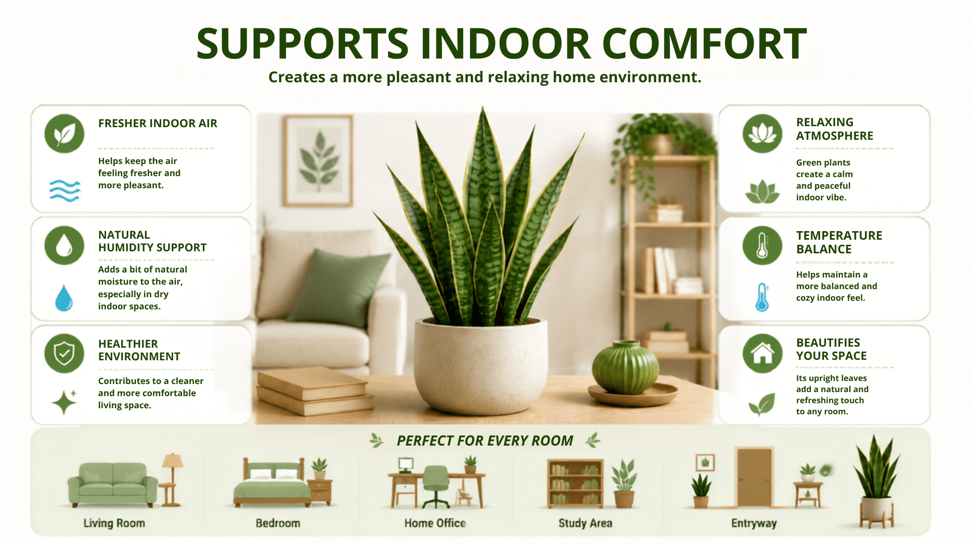Snake plant benefits infographic showing indoor comfort.