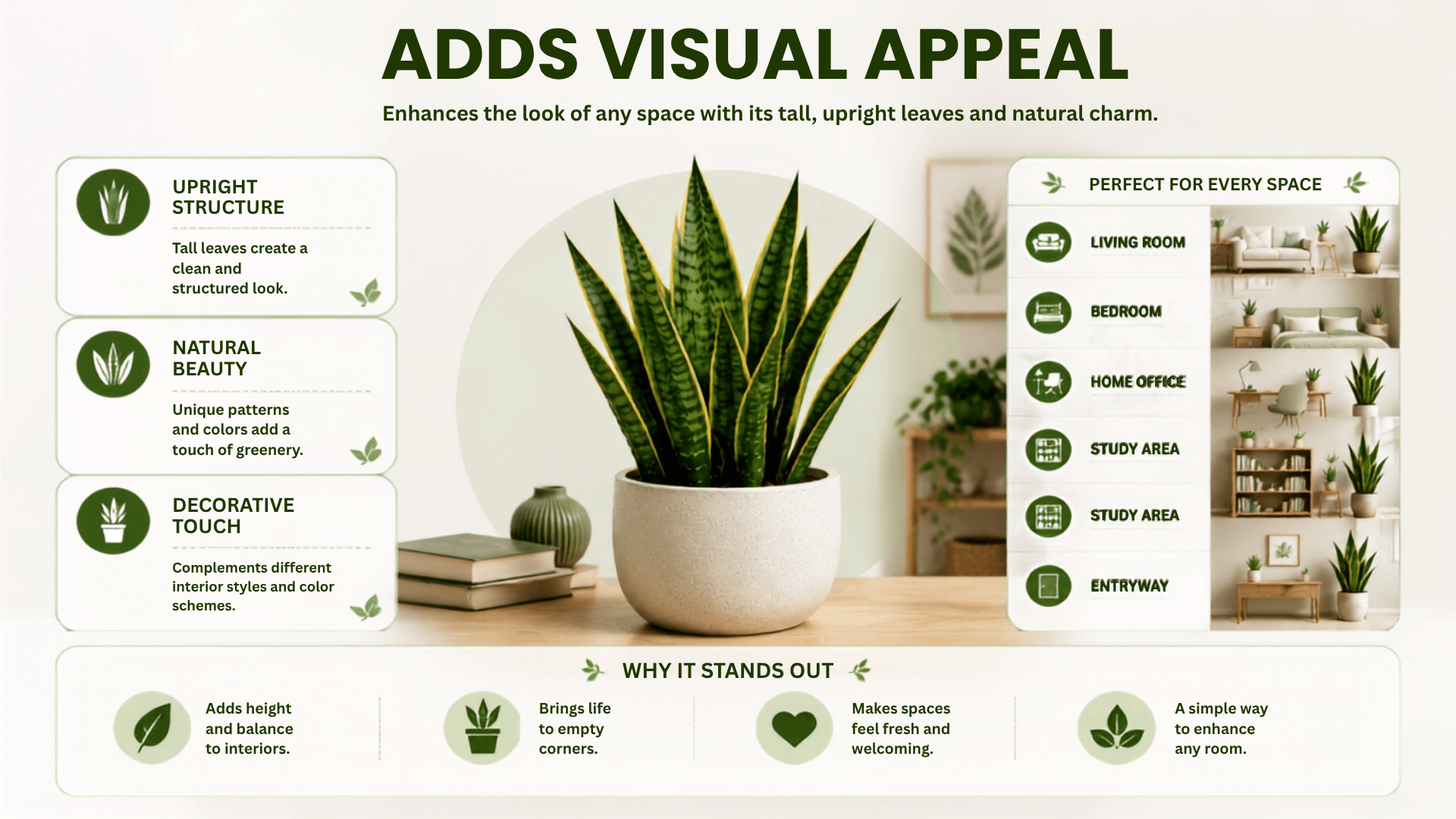 Snake plant benefits infographic showing visual appeal indoors.