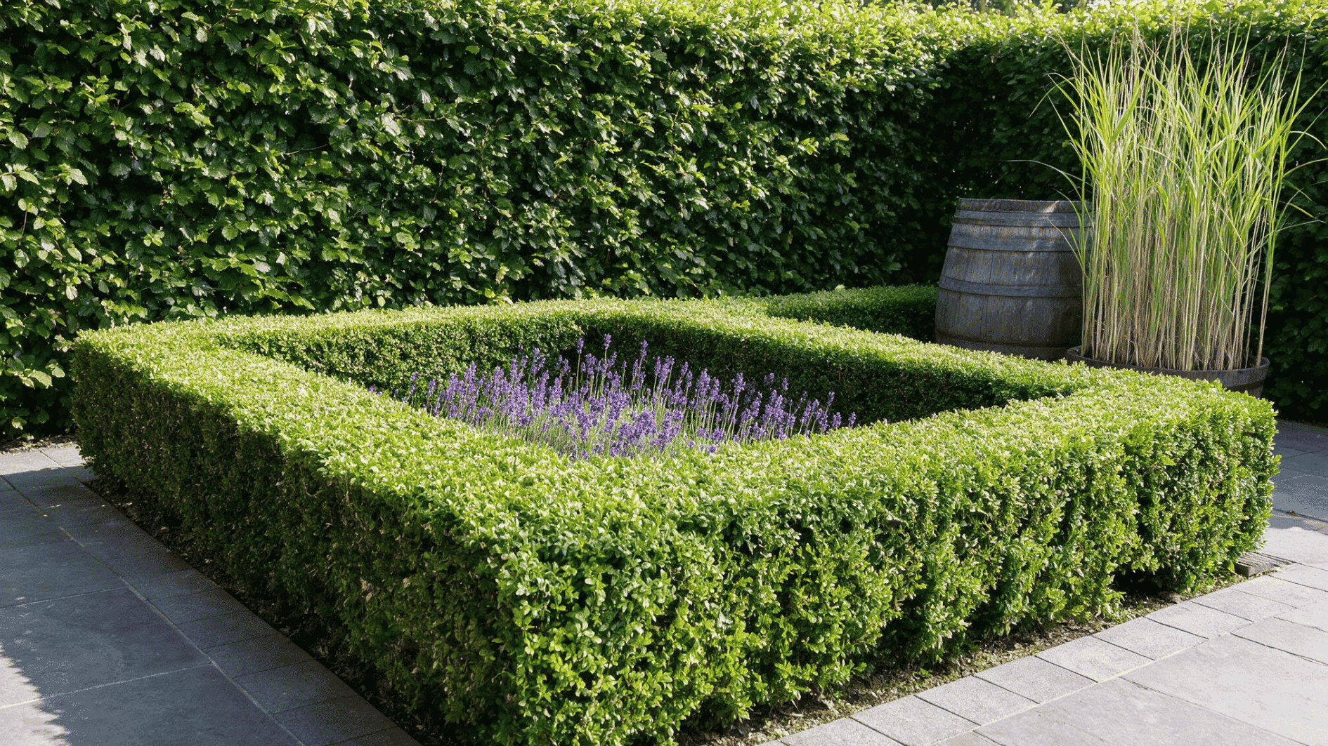 trimmed boxwood hedges frame purple lavender beside stone paving and tall grasses in a bright garden courtyard (1)