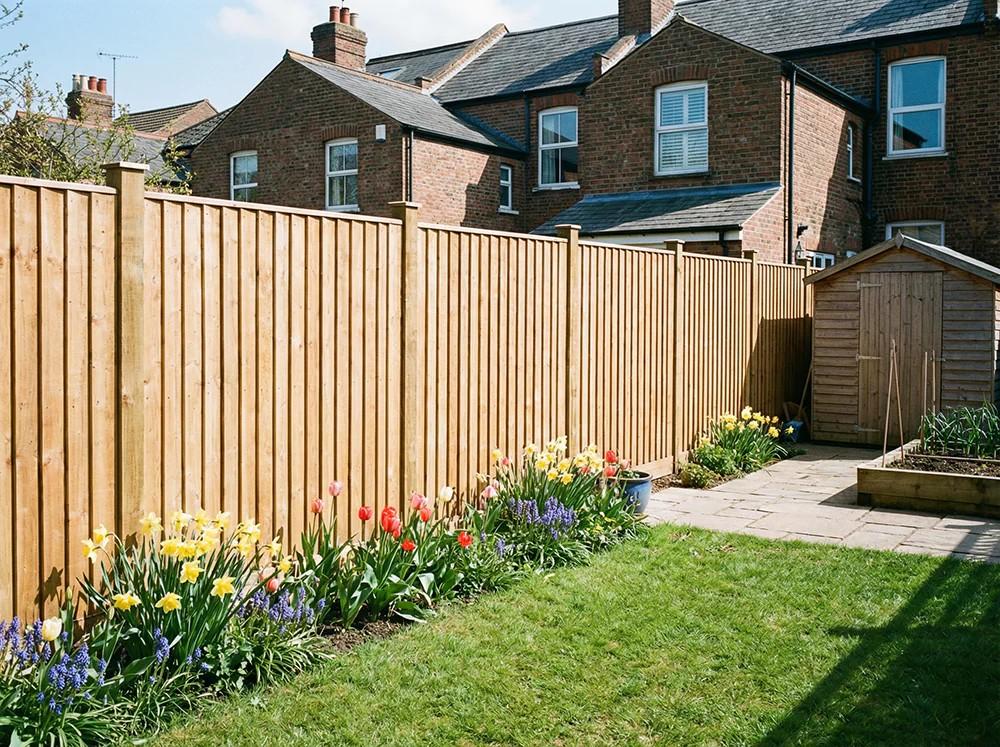Wooden fence with colorful tulips and daffodils in a sunny backyard garden setting