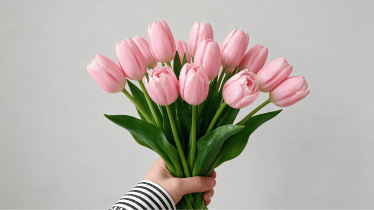 fresh-pink-tulips-held-in-hand