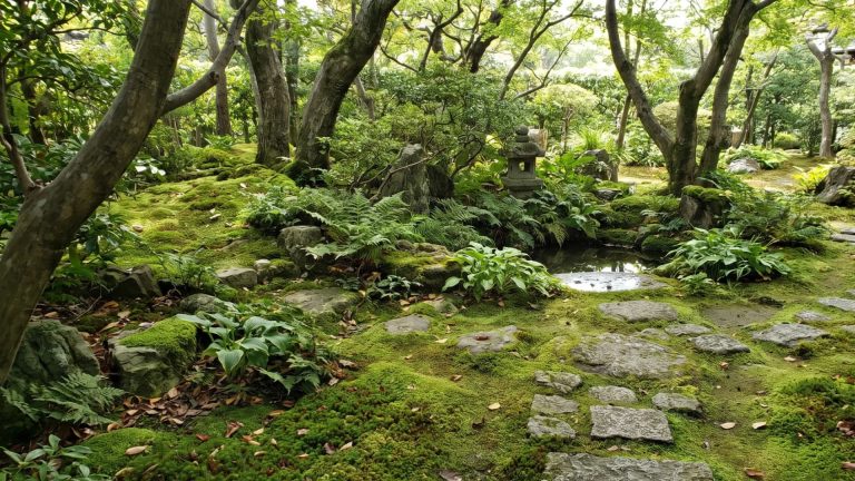 Lush Japanese moss garden with stone pathways, trees, and small stone lanterns surrounding a quiet pond.