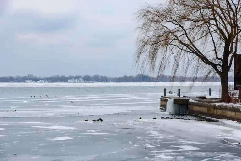 Frozen lake scene with icy shoreline and bare willow tree under cloudy sky
